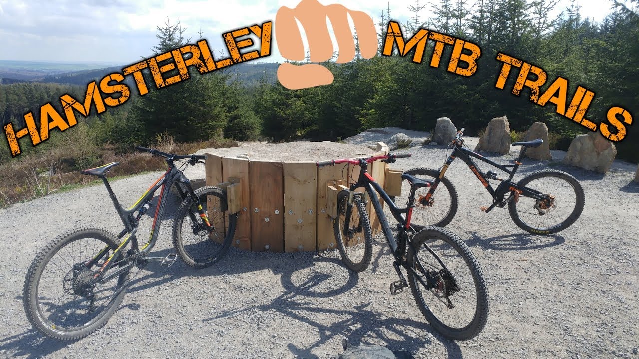 Hamsterley MTB Trails (50 SUBSCRIBERS)