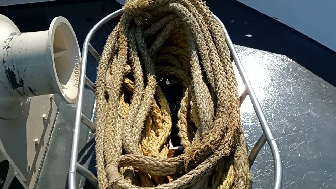 Oscar Wilde Ship Tour