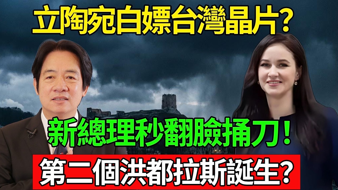 白嫖晶片秒翻臉！立陶宛新總理真的跪了？宏都拉斯白蝦慘案 2.0 上演？#臺灣 #台積電 #半導體 #立陶宛