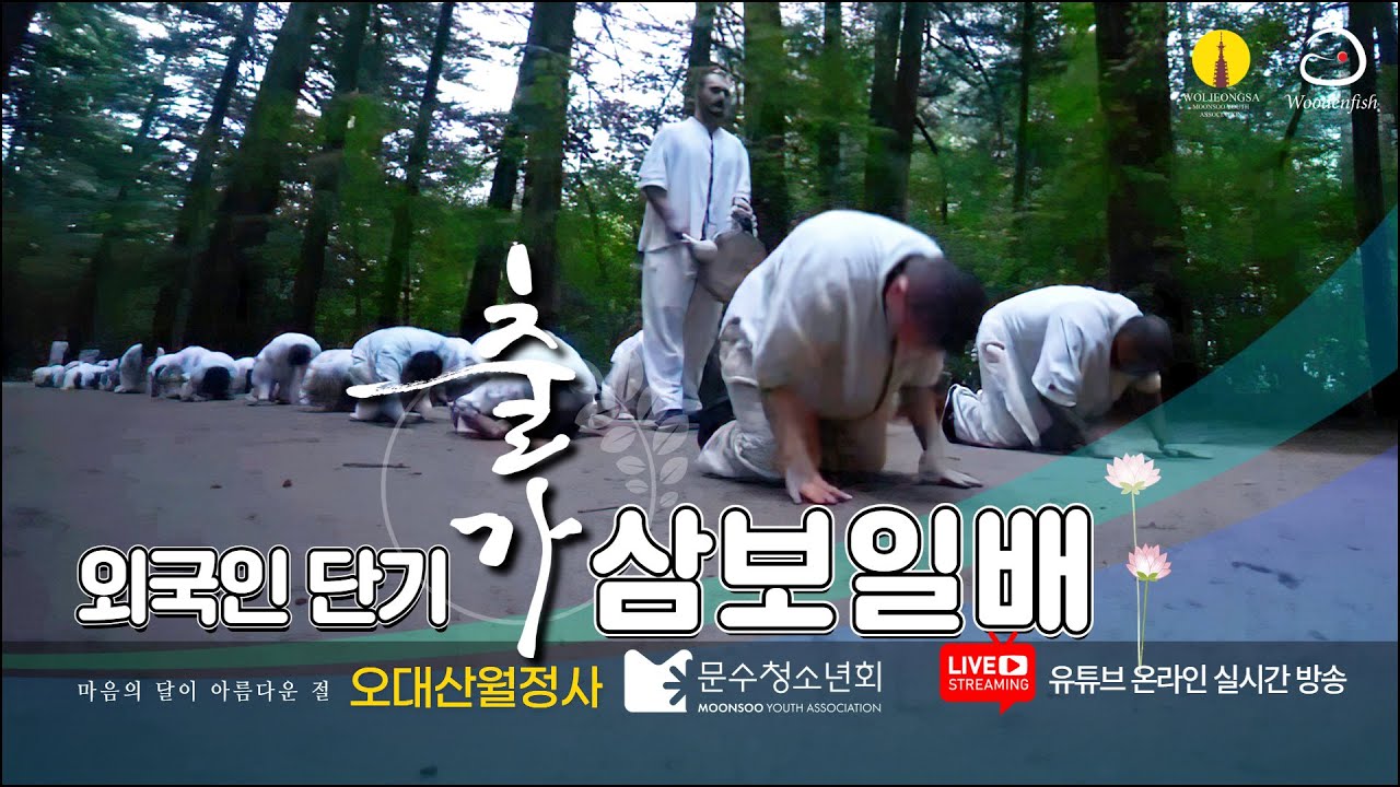 외국인 단기출가 (우든피시) - 월정사 전나무숲길 삼보일배 | 