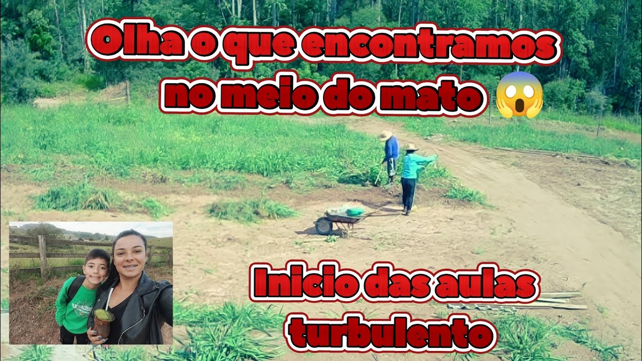 Olha o que encontramos capinando 😱 Começou as aulas e não tá fácil 😰