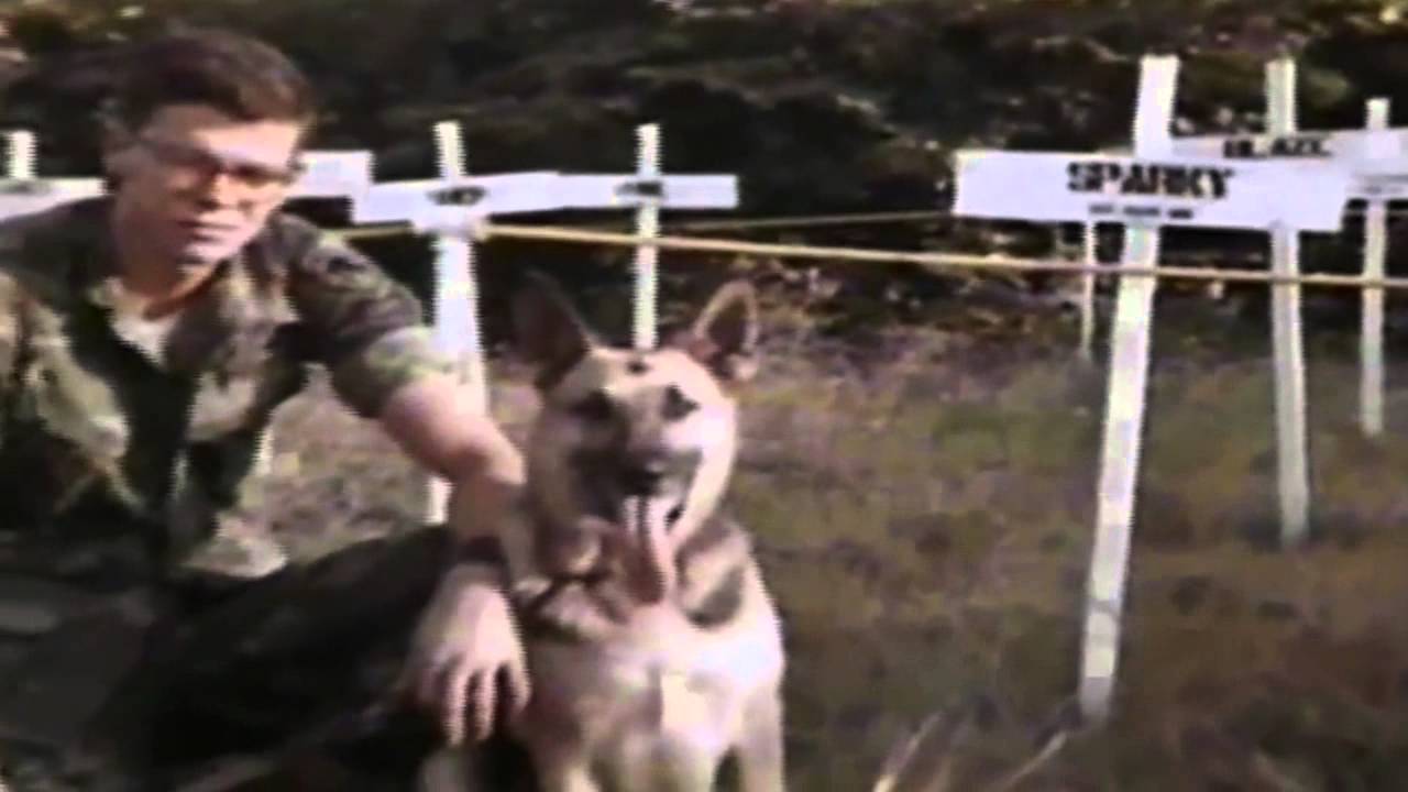 The War Dogs of Vietnam documentary (feat. the voices of 