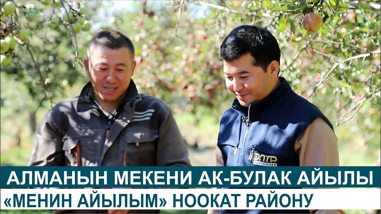 ЭЛИ ЭМГЕКЧИЛ 