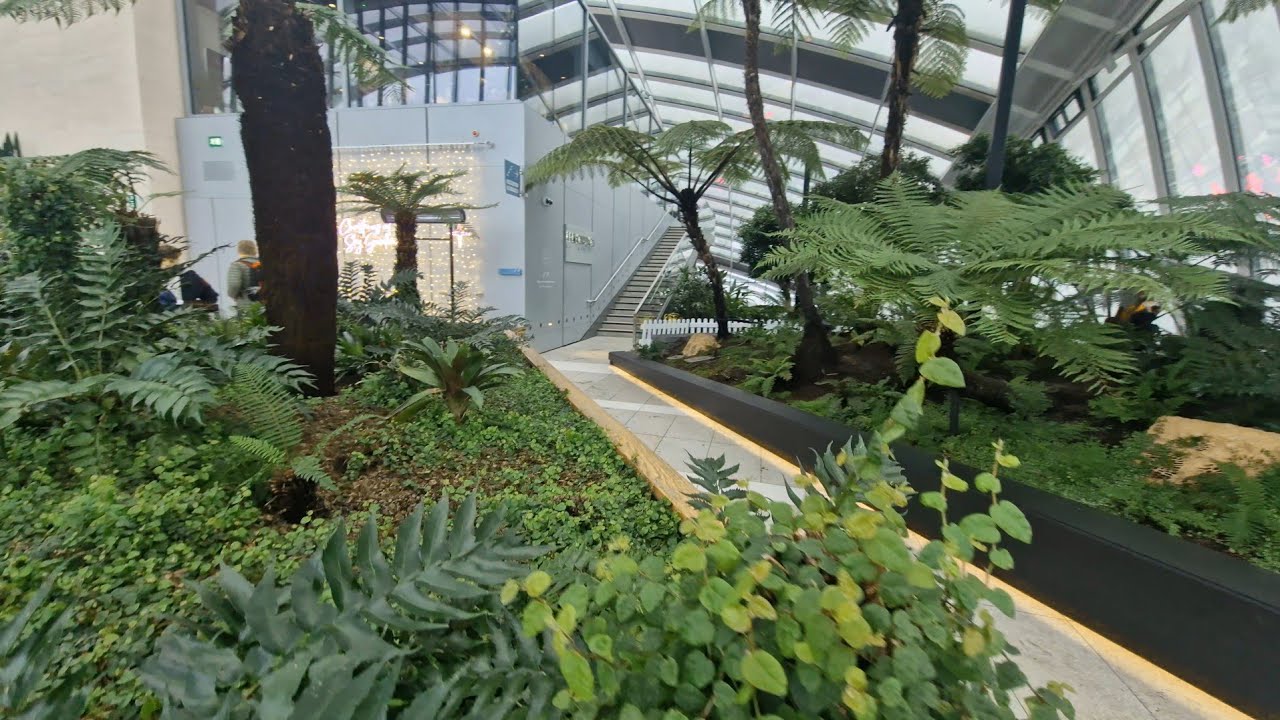 An Incredible View Of The Sky Garden! 23 Dec 2023.