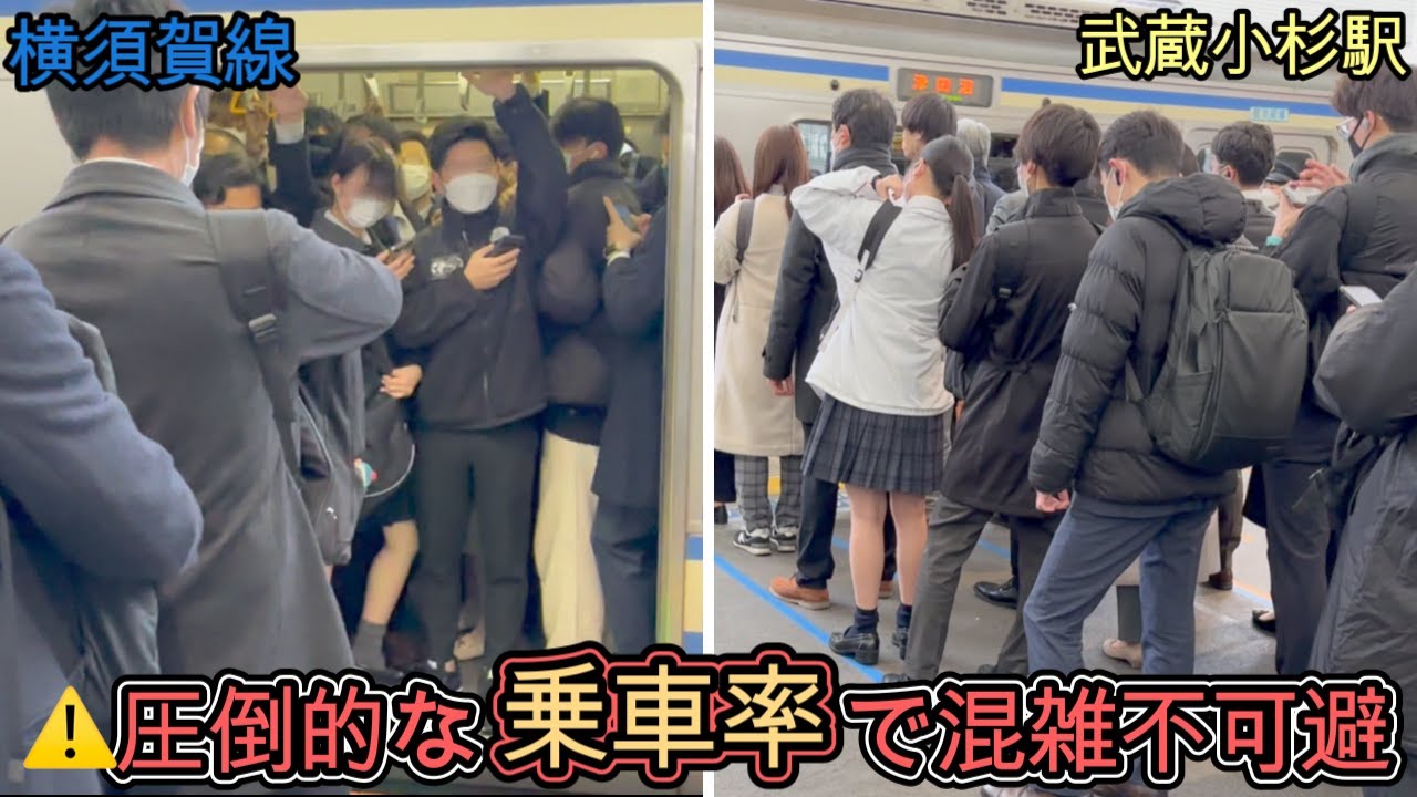 【武蔵小杉駅】横須賀線だけ異様に混む⁉️ 圧倒的な乗車率で混雑不可避  通勤ラッシュ  横須賀線 混雑 満員電車  rush hour Yokosuka Line  【満員電車】