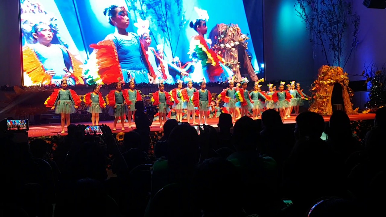 Bird dance