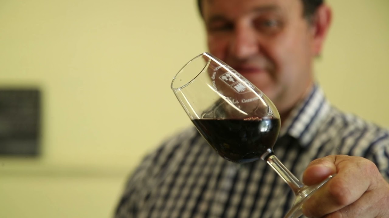 Feugarolles (47) : Une cuvée en hommage à d’Artagnan, l’ancêtre prestigieux du château de Salles
