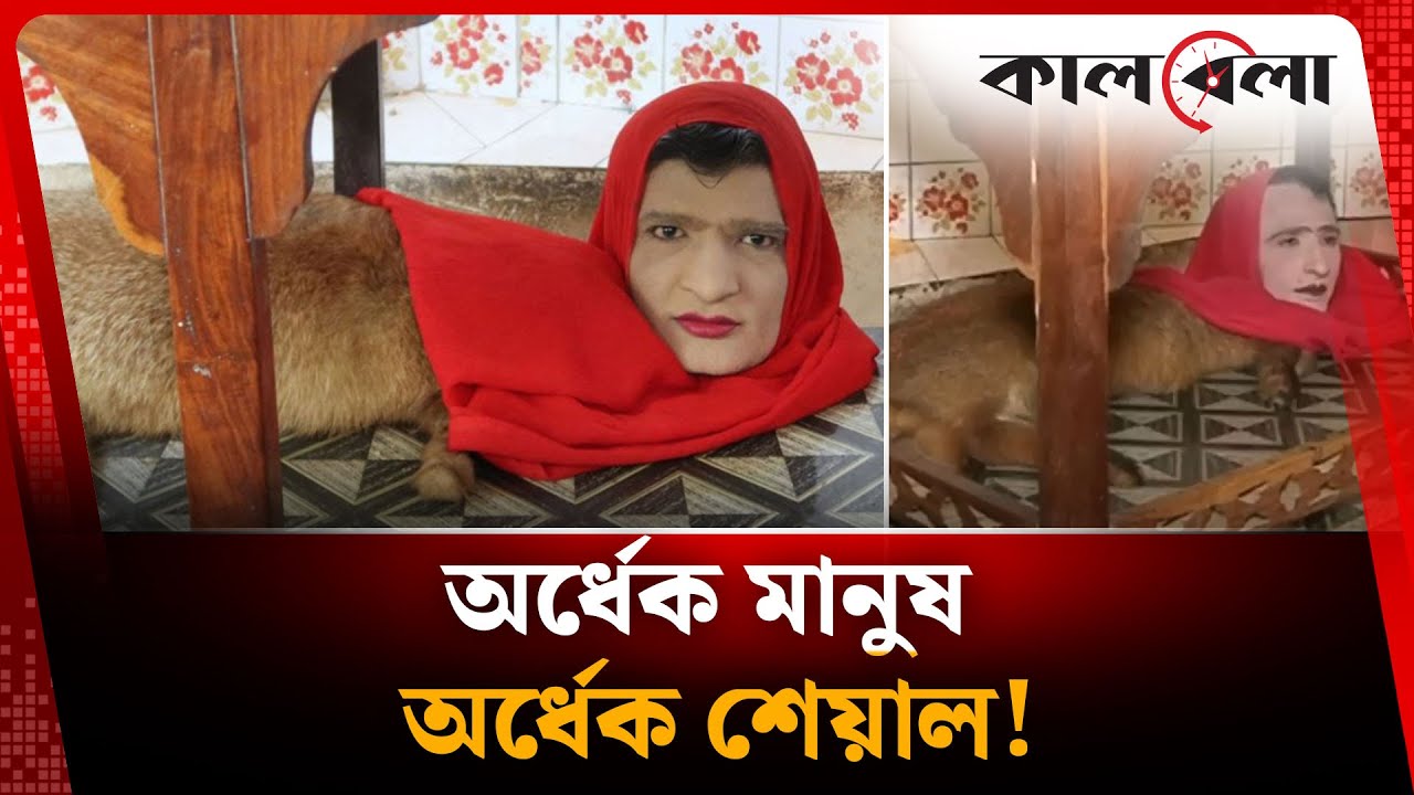 অর্ধেক মানুষ অর্ধেক শিয়াল, অদ্ভুত প্রাণী দেখতে উপচেপড়া ভিড় | Strange Animal | Kalbela