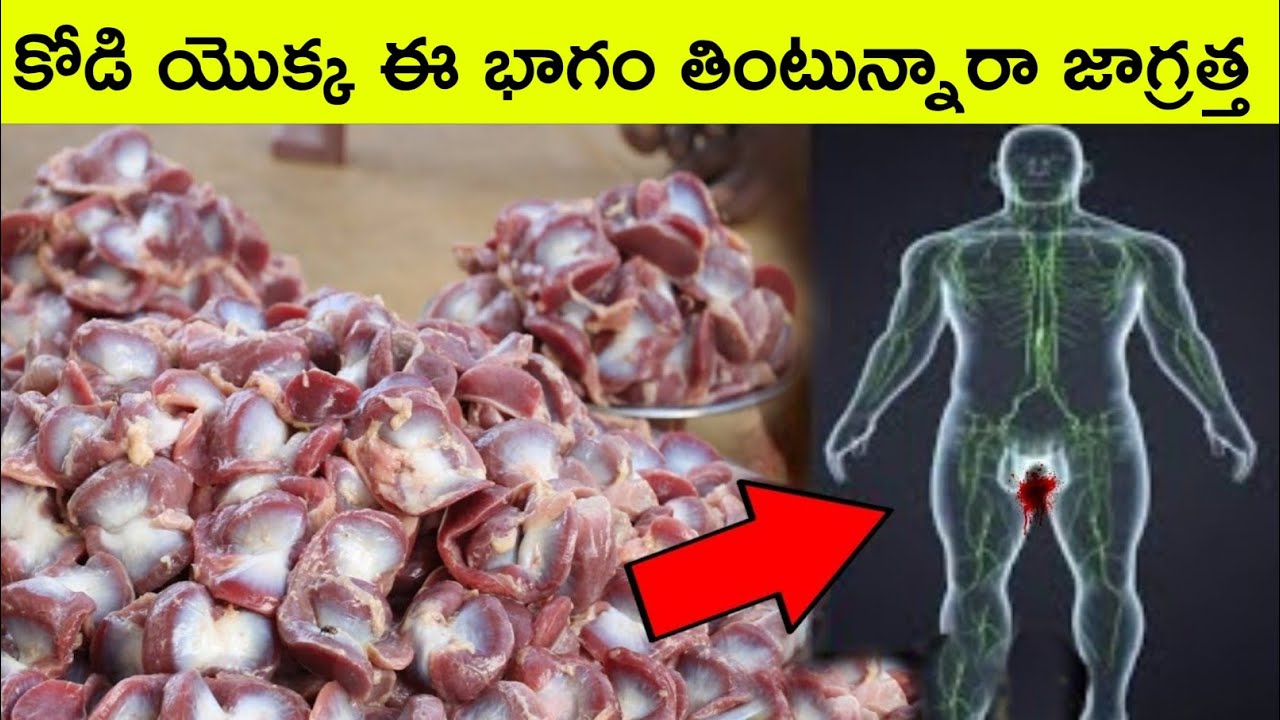 Benifits of eating chicken gizzard / kandanakaya / telugu facts / facts in telugu / bmc facts telugu
