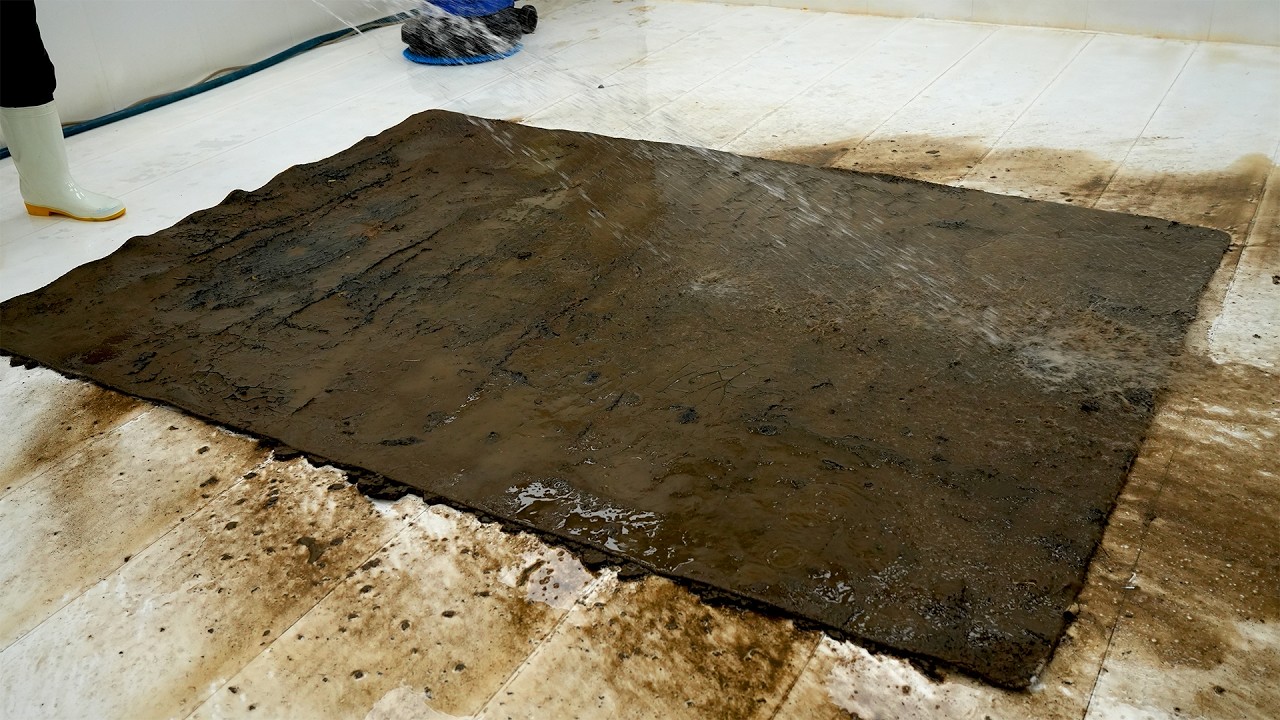 They Thought This Rug Was Beyond Saving - Until the Deep Cleaning Revealed Everything