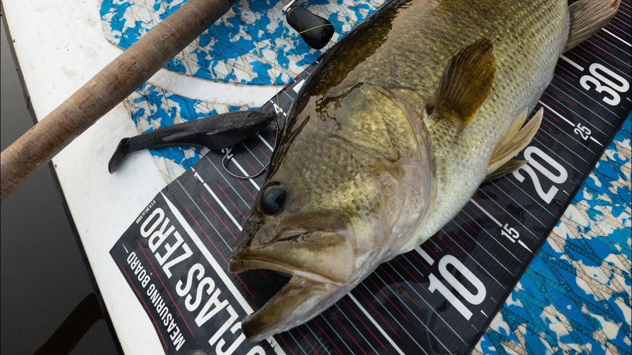 Fish Go CRAZY for This Lure in The Summer