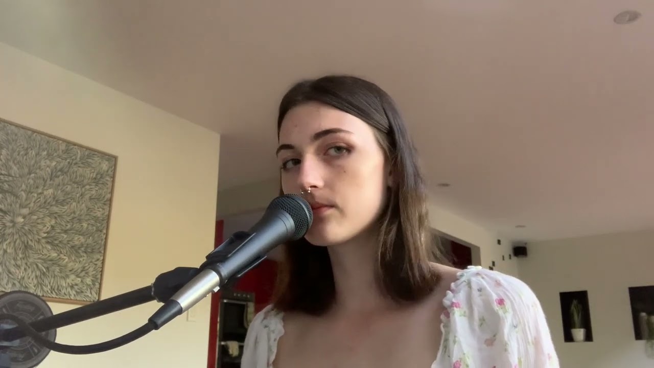 i wanna be sedated - ramones cover