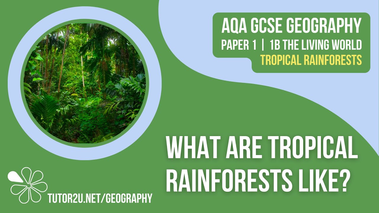 What are Tropical Rainforests Like? | AQA GCSE Geography | Tropical Rainforests 1