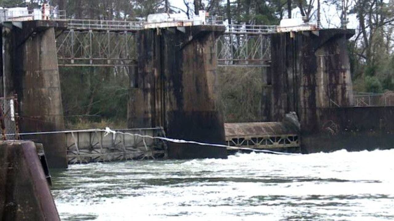 New Savannah Bluff Lock and Dam is here to stay following latest legislation