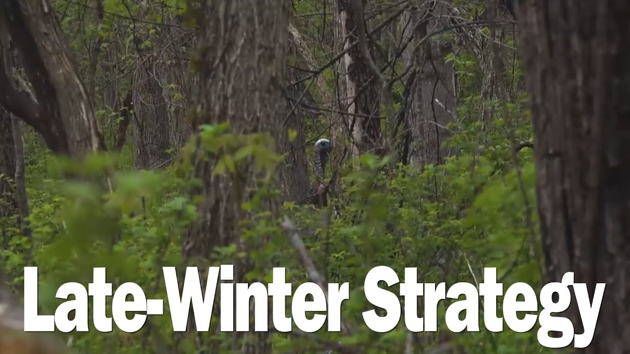 【Camojojo】Winter Camouflage for Late-Winter Turkey Hunting: How to Blend in and Stay Hidden