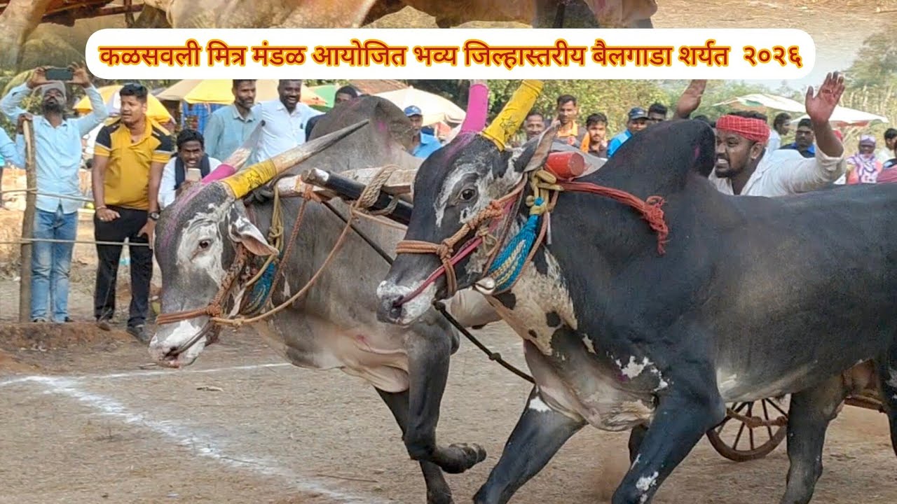 कळसवली मित्र मंडळ आयोजित भव्य जिल्हास्तरीय बैलगाडा शर्यत (घाटी गट )2026