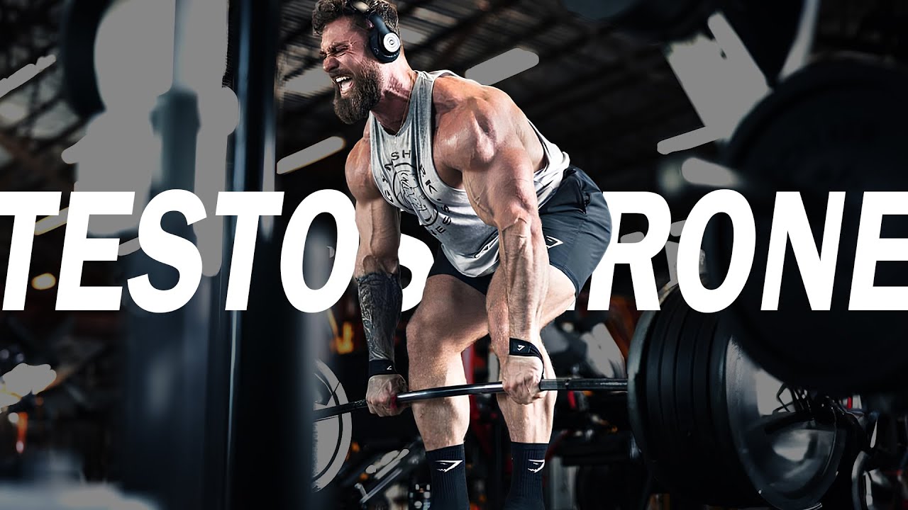 TESTOSTERONE 💪🏻 GYM MUSIC MOTIVATION 2024 | 4K