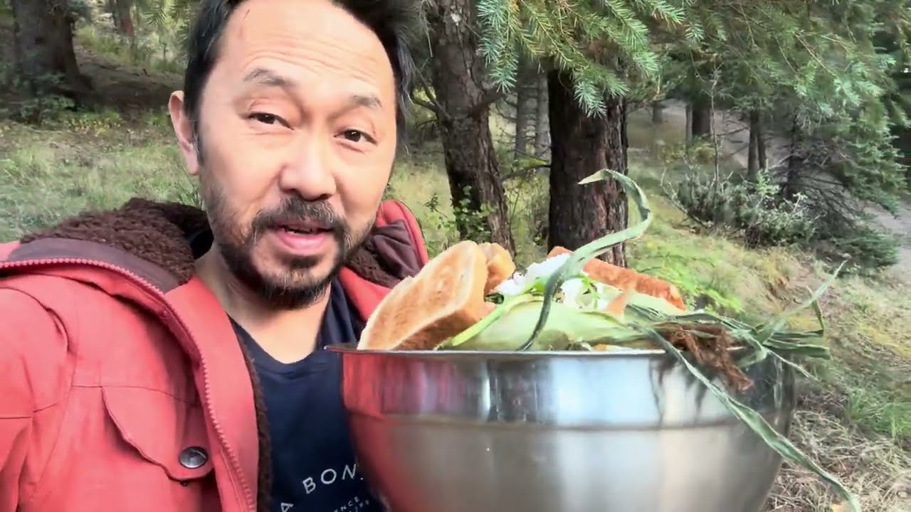 How To Get Chickens To Go Back Into Their Coop