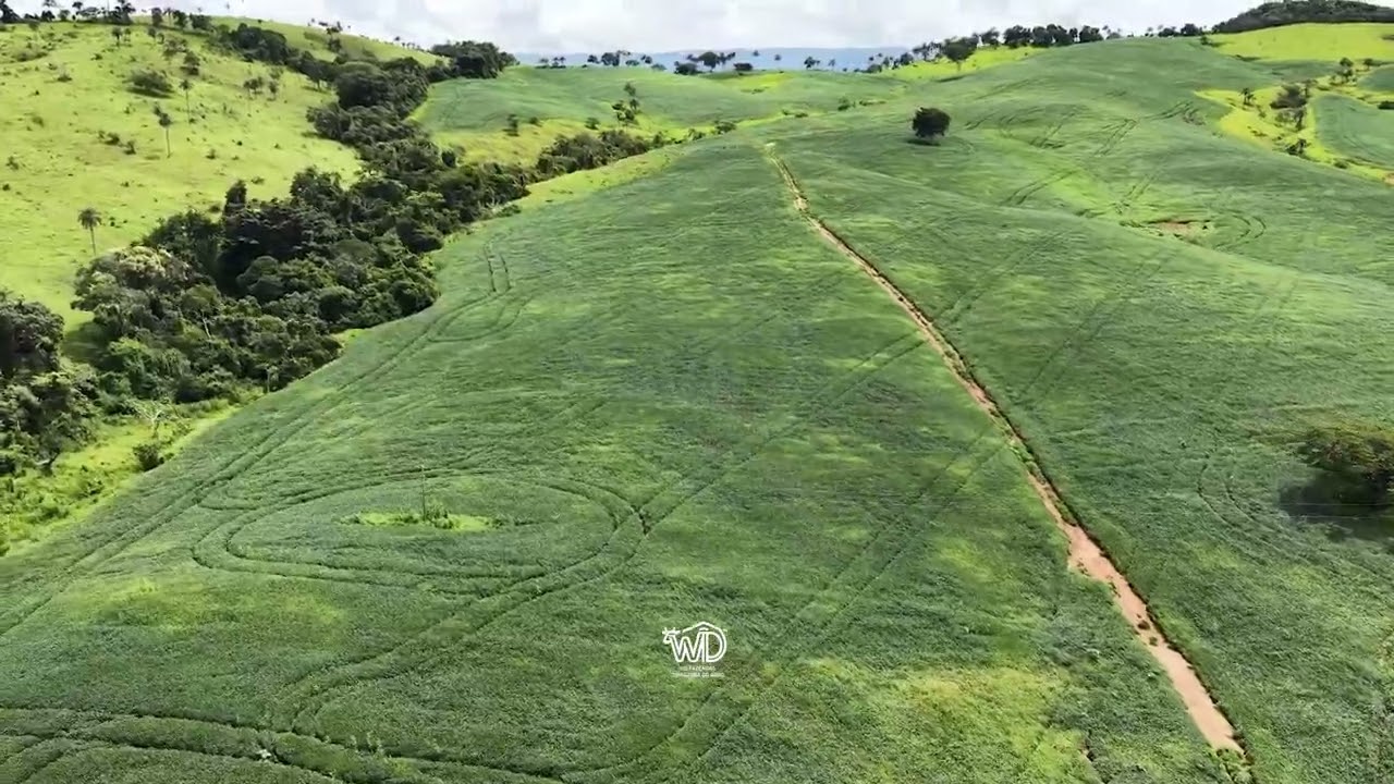 Fazenda Aranha 39 Alqueires Passos