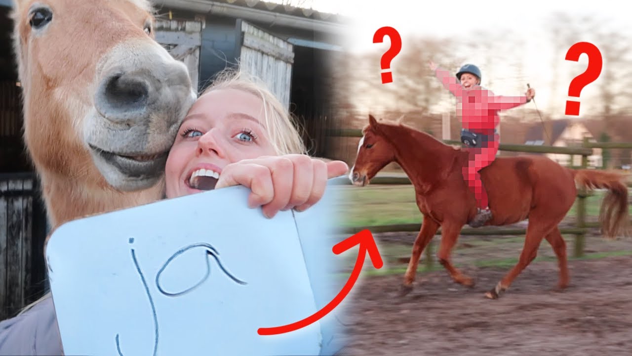 ZONDER IETS RIJDEN of KLUSJES? Paarden BEPALEN mijn DAG!