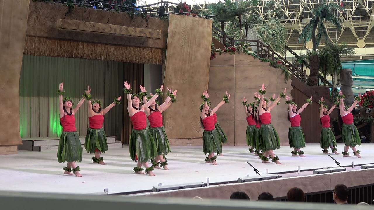 ハワイアンズ フラ甲エキシビジョン 綾瀬高校 特別賞 2019.8.19