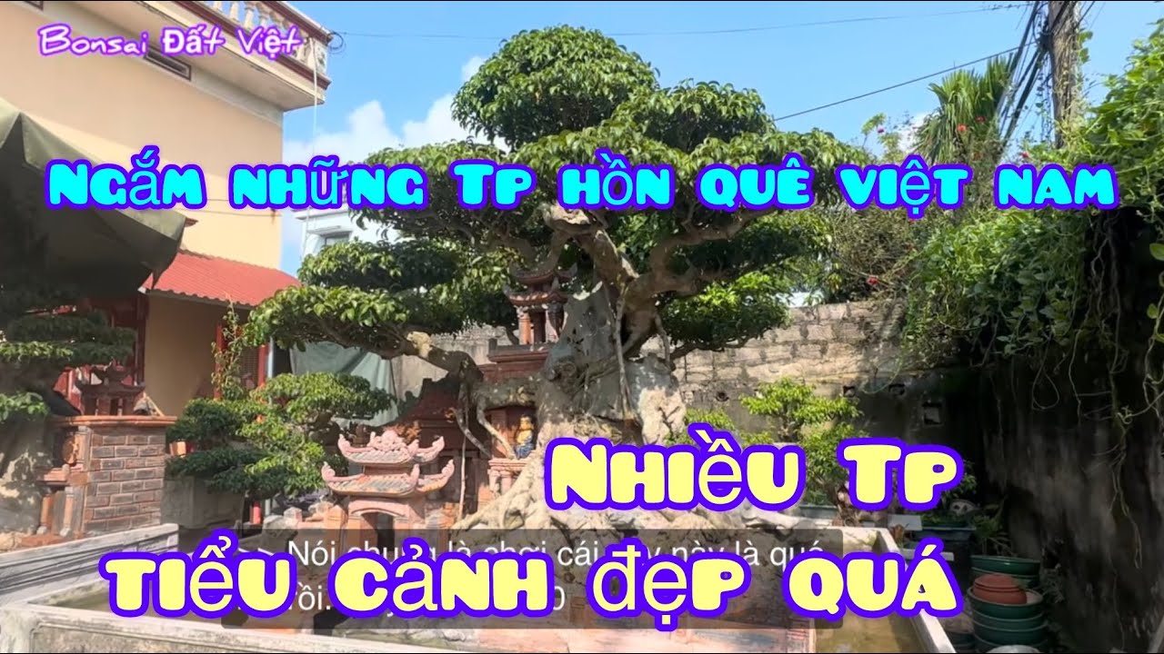 Ngắm đã mắt những Tp mang hồn quê Việt Nam- tuyệt đẹp,  yên thắng- ninh bình
