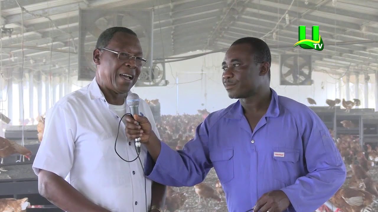 AYEKOO: Boris B Poultry Farm