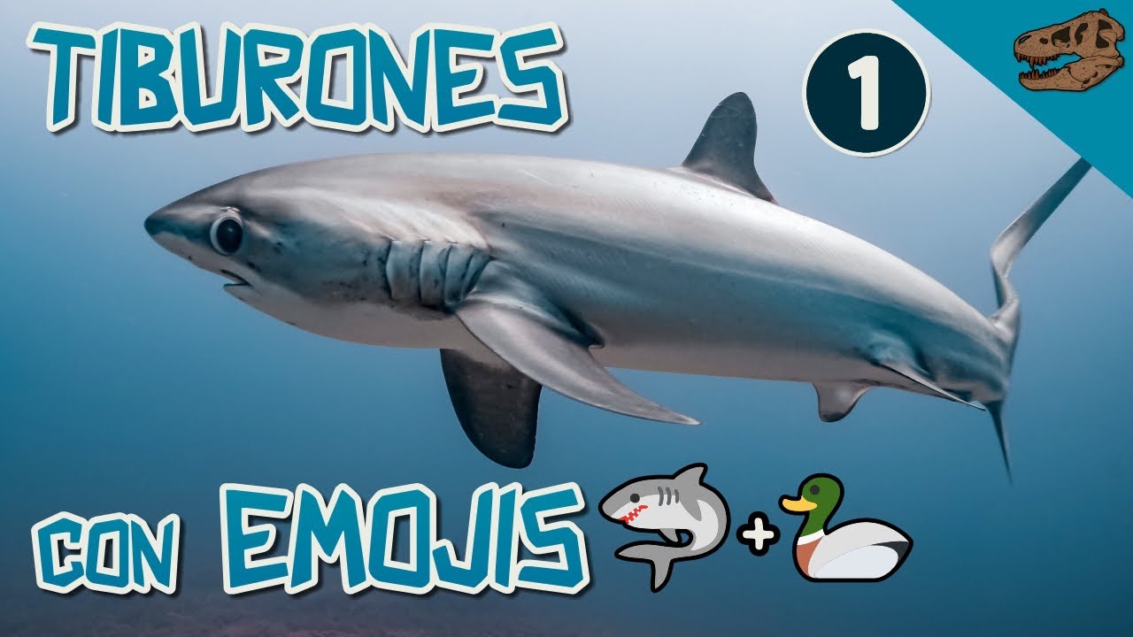 Tiburones con emojis 1 - (ft. ¿Qué es la EvoDevo?)