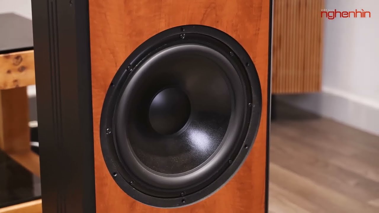 Review loa PARAMAX D88 Limited – Loa đa nhiệm nghe nhạc kết hợp karaoke đáng mua nhất