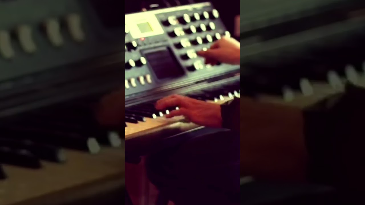 Let&rsquo;s help Mr. Tuna get another Moog. 🎹 #moog #synthesizer #moogsynthesizer