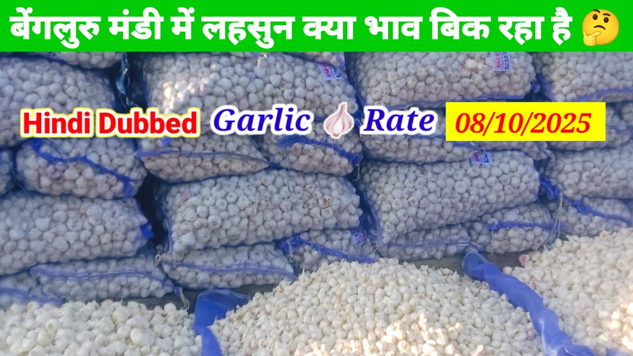 Bengaluru Yeshwantpur market garlic rate #garlic #lahsun #mandi #gdrgdyanblog