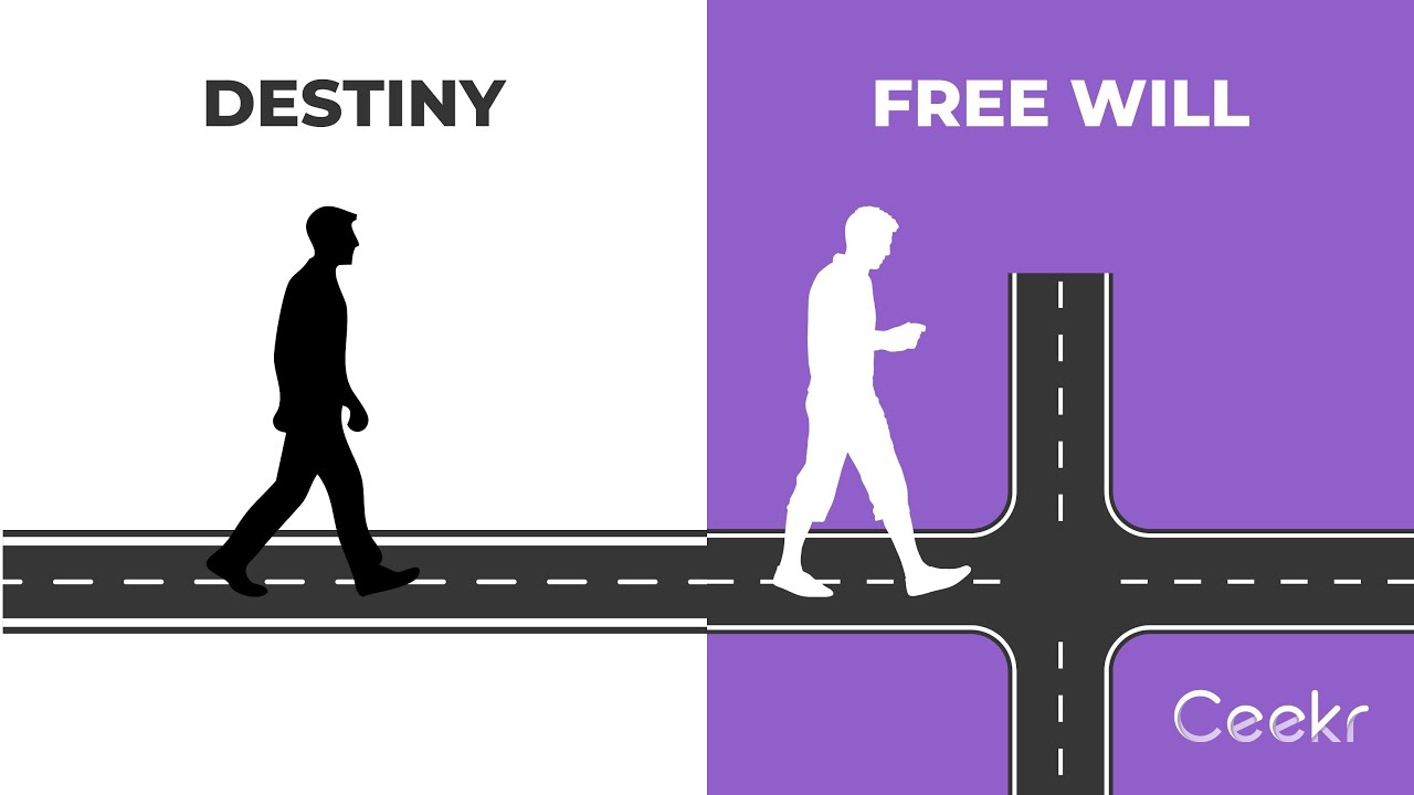 Destiny vs Free Will: The Truth Nobody Told You| Ceekr