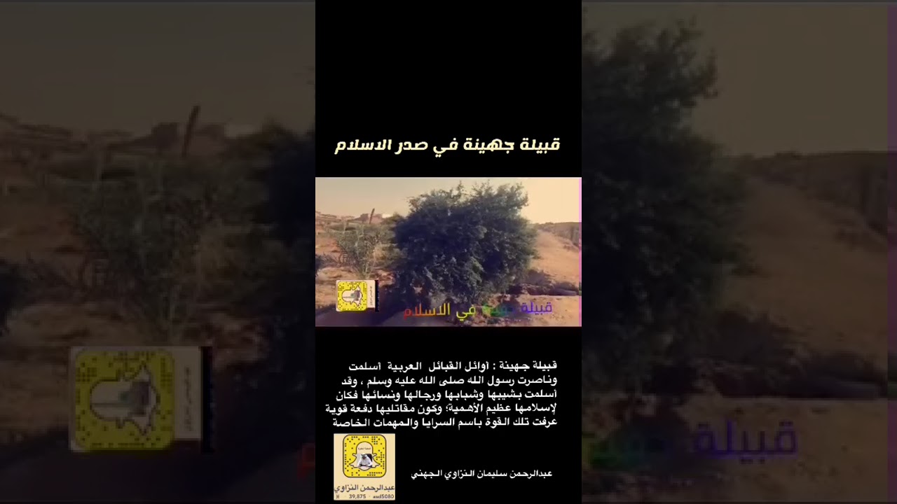 قبيلة جهينة في صدر الاسلام