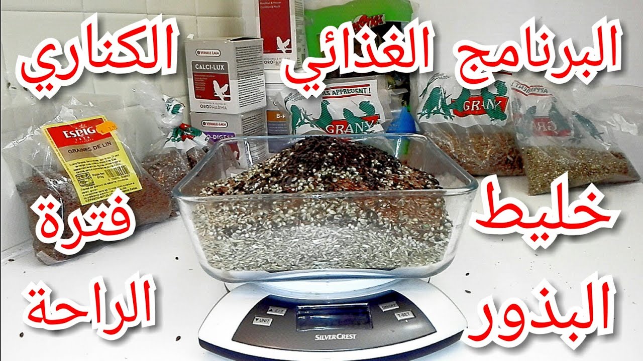 البرنامج الغذائي و طريقة تجهيز خلطة الحبوب لطيور الكناري في فترة الراحة