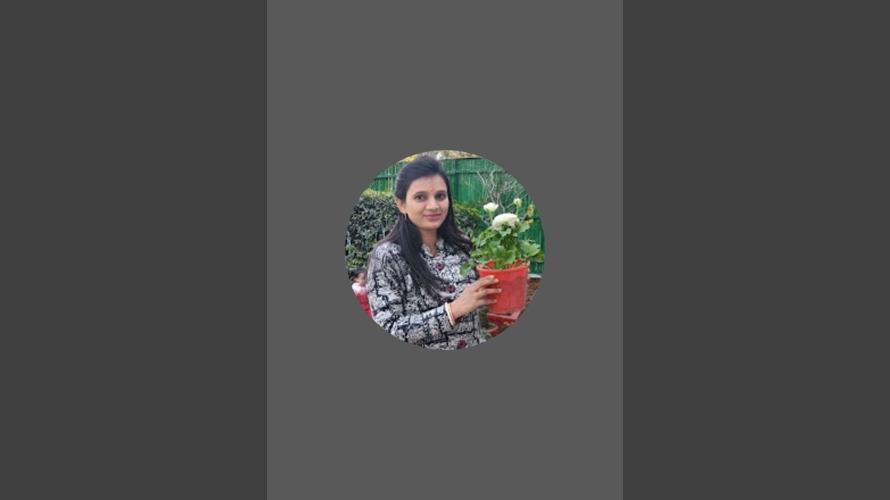 Archana Yadav vlog  is live