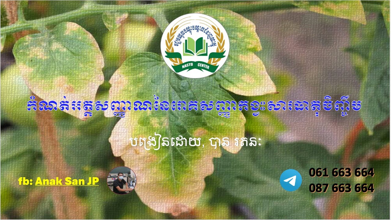 កំណត់អត្តសញ្ញាណកង្វះសារធាតុចិញ្ចឹមរបស់រុក្ខជាតិ