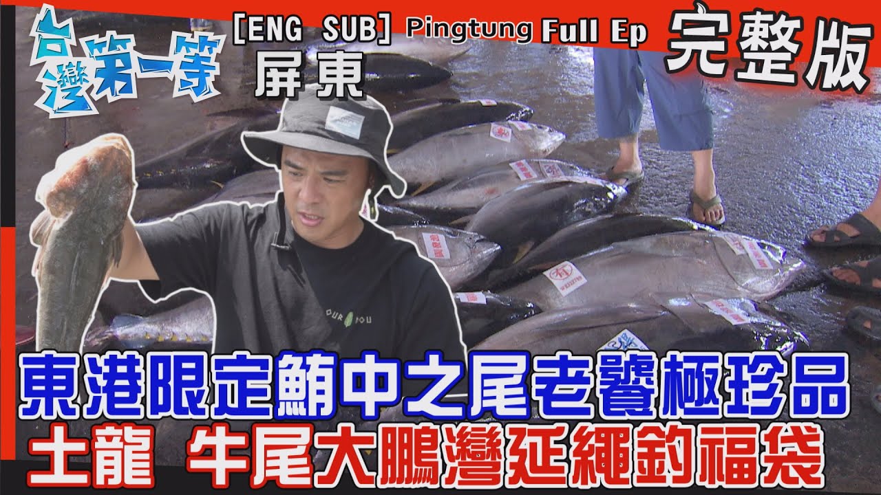 [全新] 屏東【東港限定！拍賣魚市場