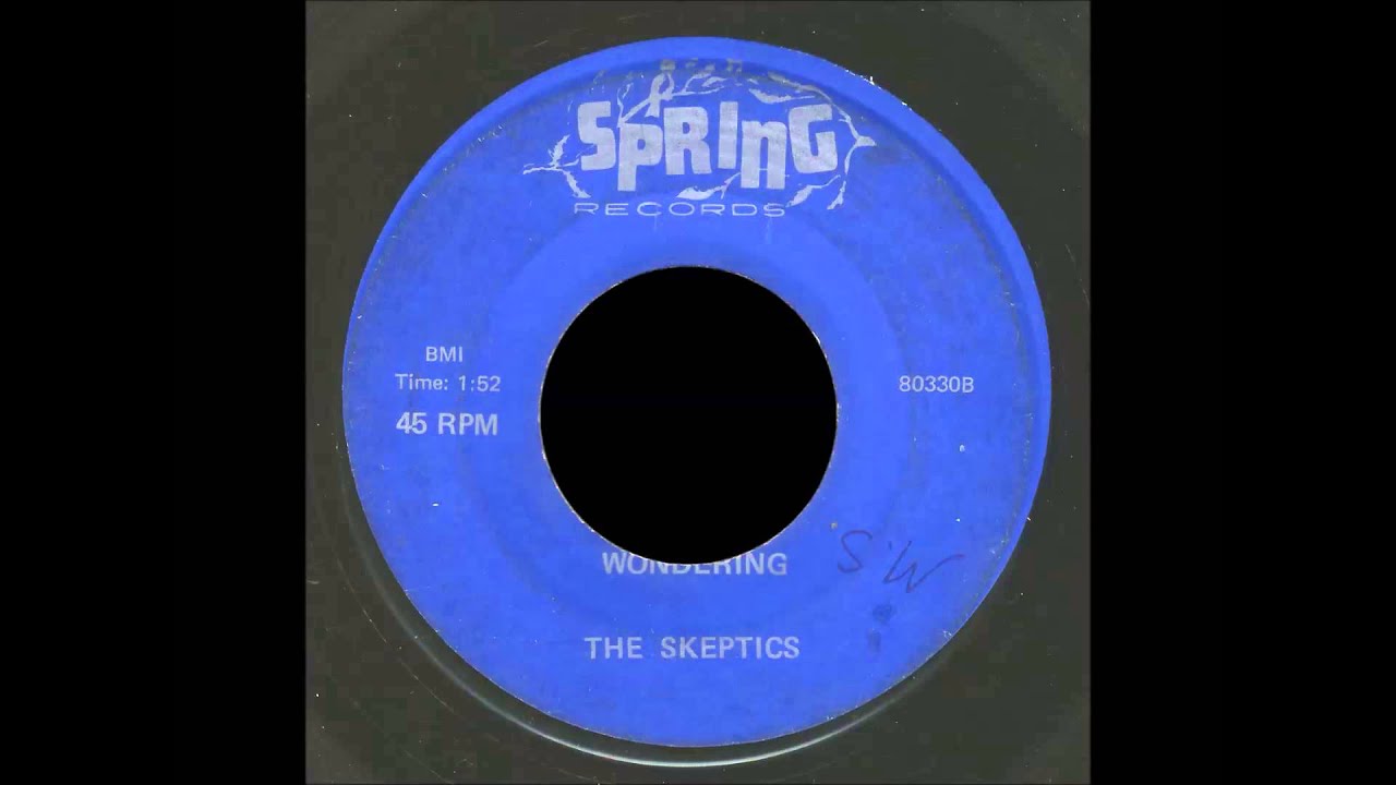 The Skeptics - Wondering