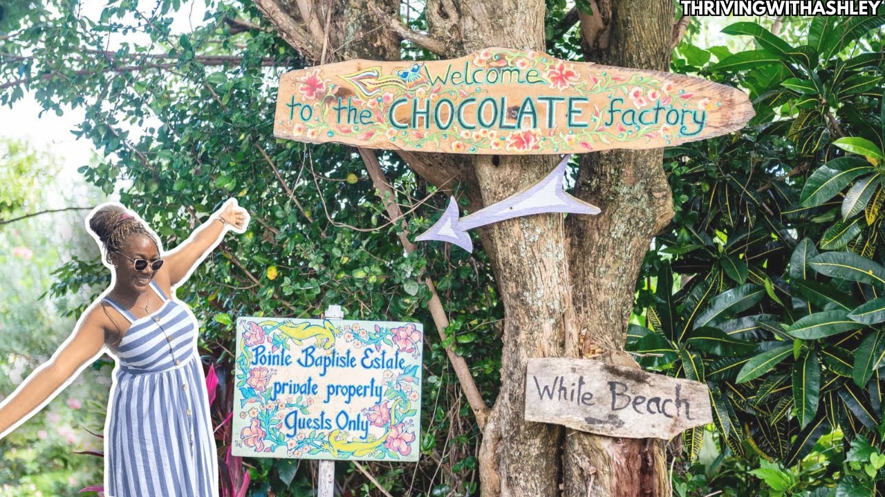Learn HOW TO make Caribbean Chocolate| The Only CHOCOLATE Factory in DOMINICA #Exploringdominica🇩🇲