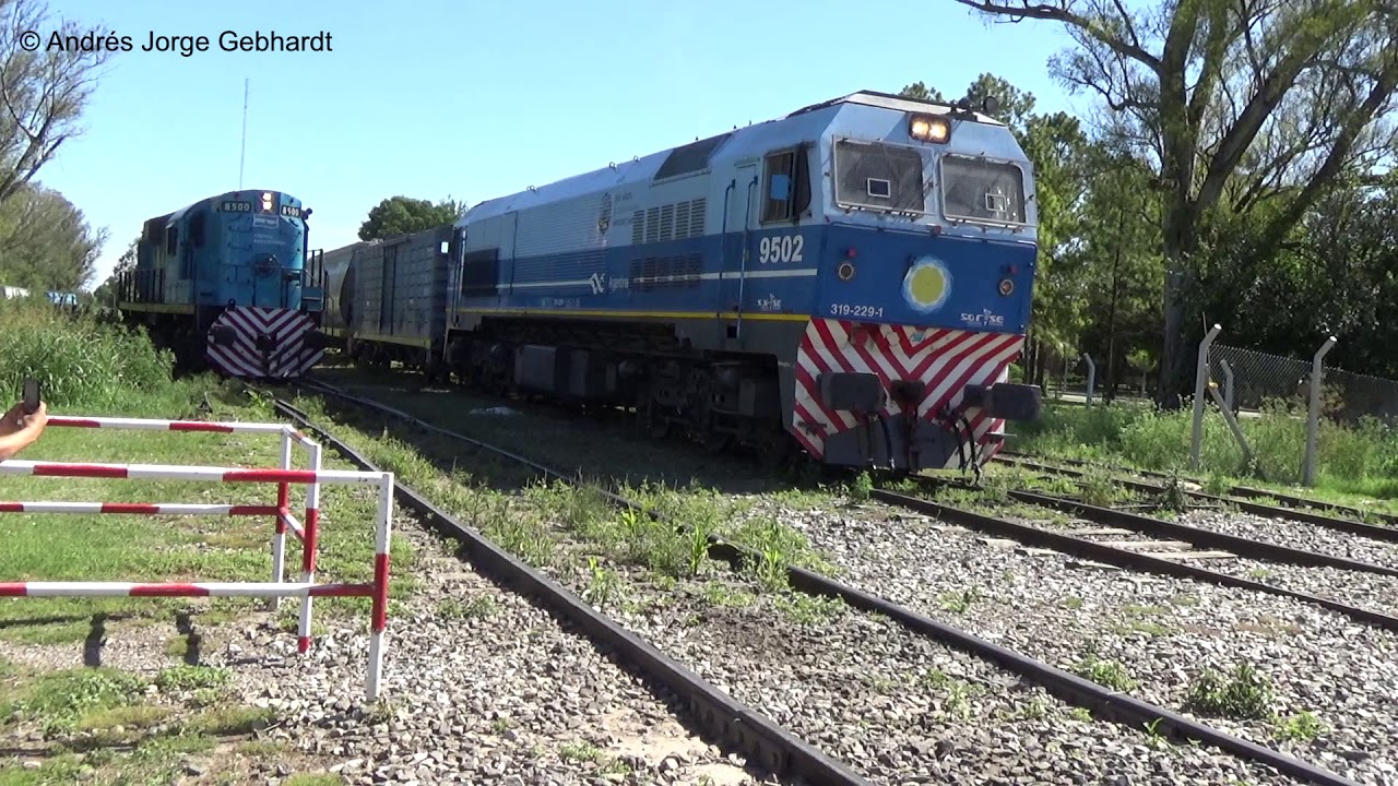 Tren de Carga por Soldini