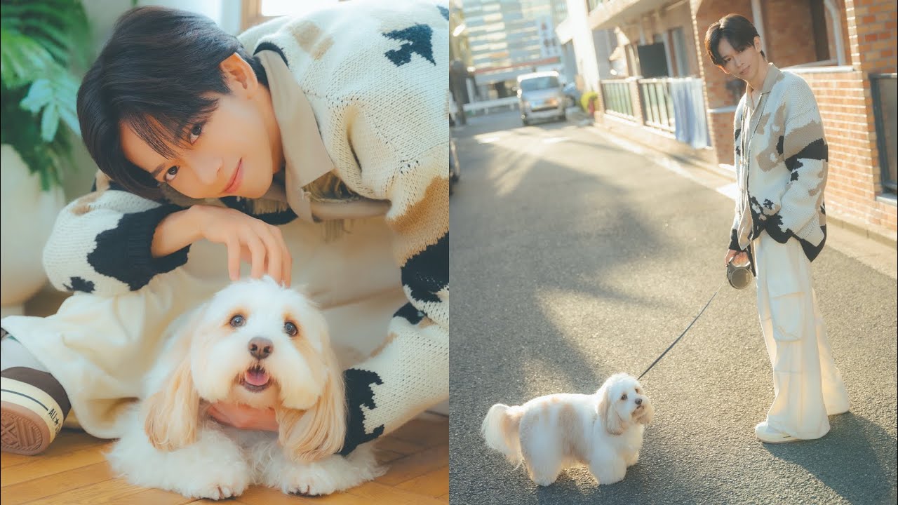 【超特急】リョウガさん＆あんちゃんが遊びにきてくれました！（キャバリア✖️ビションフリーゼ｜月刊わんこ撮影オフショット）
