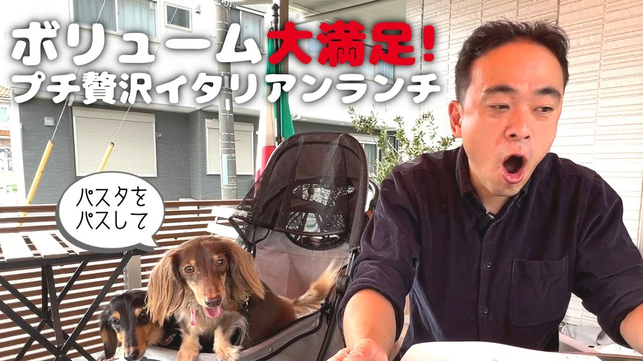 【犬連れ日野ランチ】ボリューム満点!Cafe Hanaさんでプチ贅沢ランチ🐶🐶東京都日野市三沢 ペットショップの売れ残りと元保護犬とお出かけ