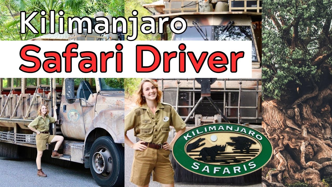 Disney Kilimanjaro Safari Driver 🦁🌳🦒