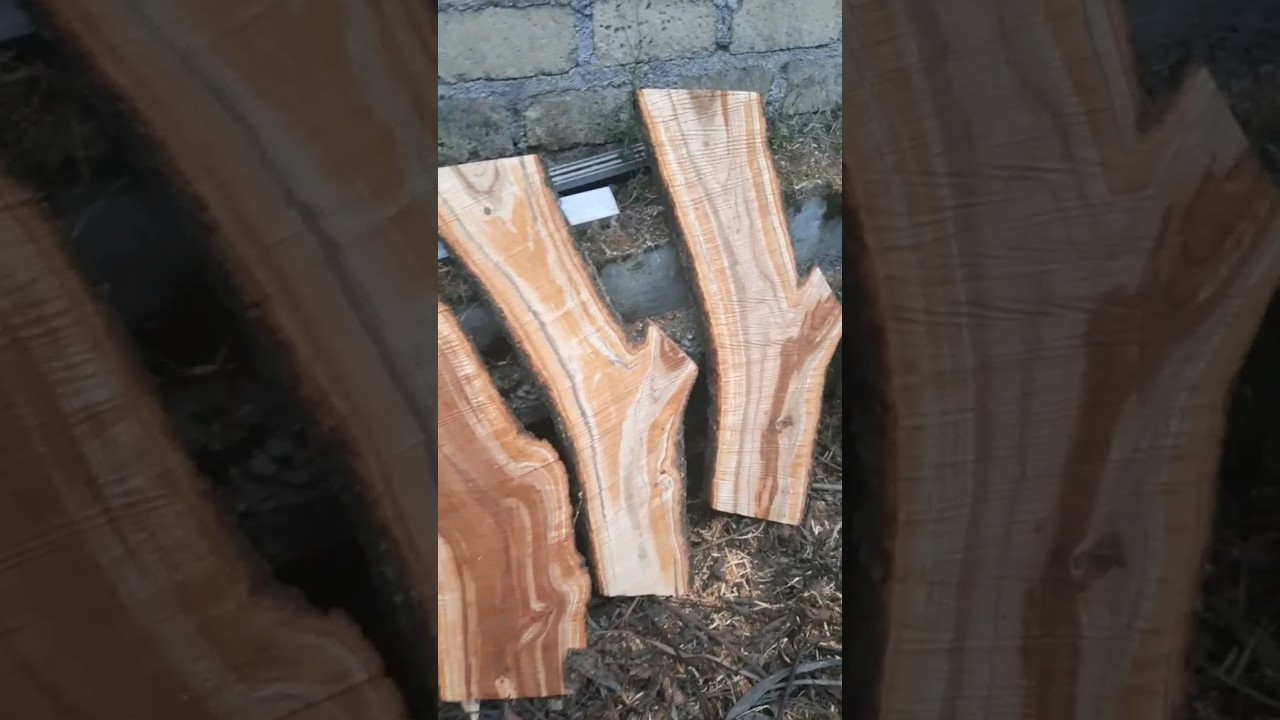 creare tavole in legno con motosega. #fabioatwork #alaskanmill #faidate #motosega #diy