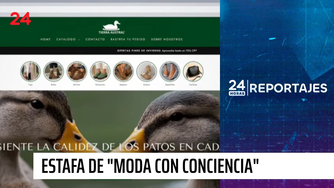 24 Horas Reportajes | Denuncian millonaria estafa de 