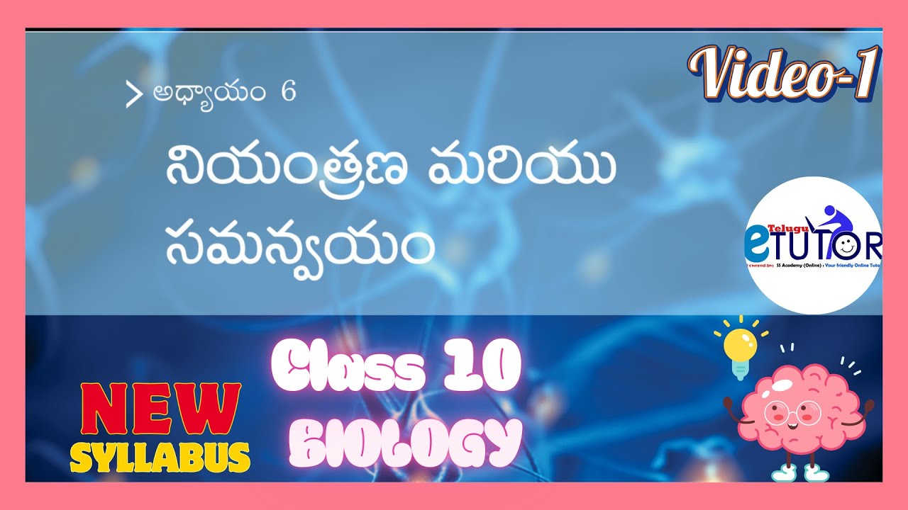 Class 10 New Biology | Controle and Coordination | In Telugu | For DSC,TET,RRB
