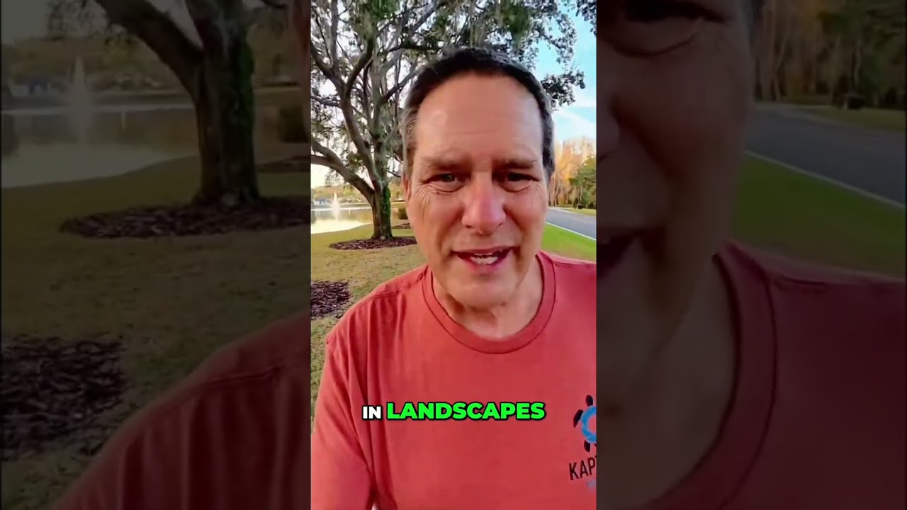 Master Composition: Real Estate, Wildlife, Landscapes
