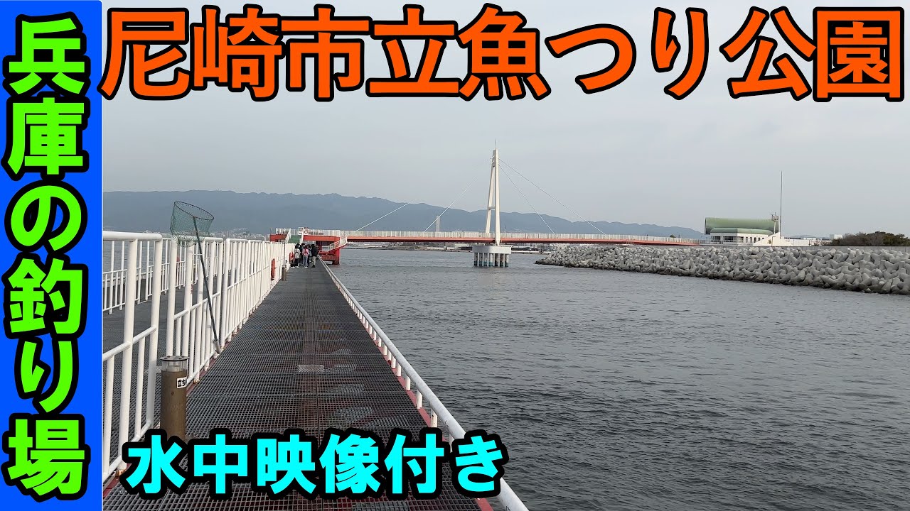 尼崎市立魚つり公園の釣り場を紹介！水中映像で攻略！