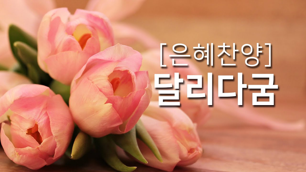 [복음성가연속듣기] 달리다굼(캄캄한 인생길)_하루찬양( 중간광고 없음, 은혜찬양연속듣기 )