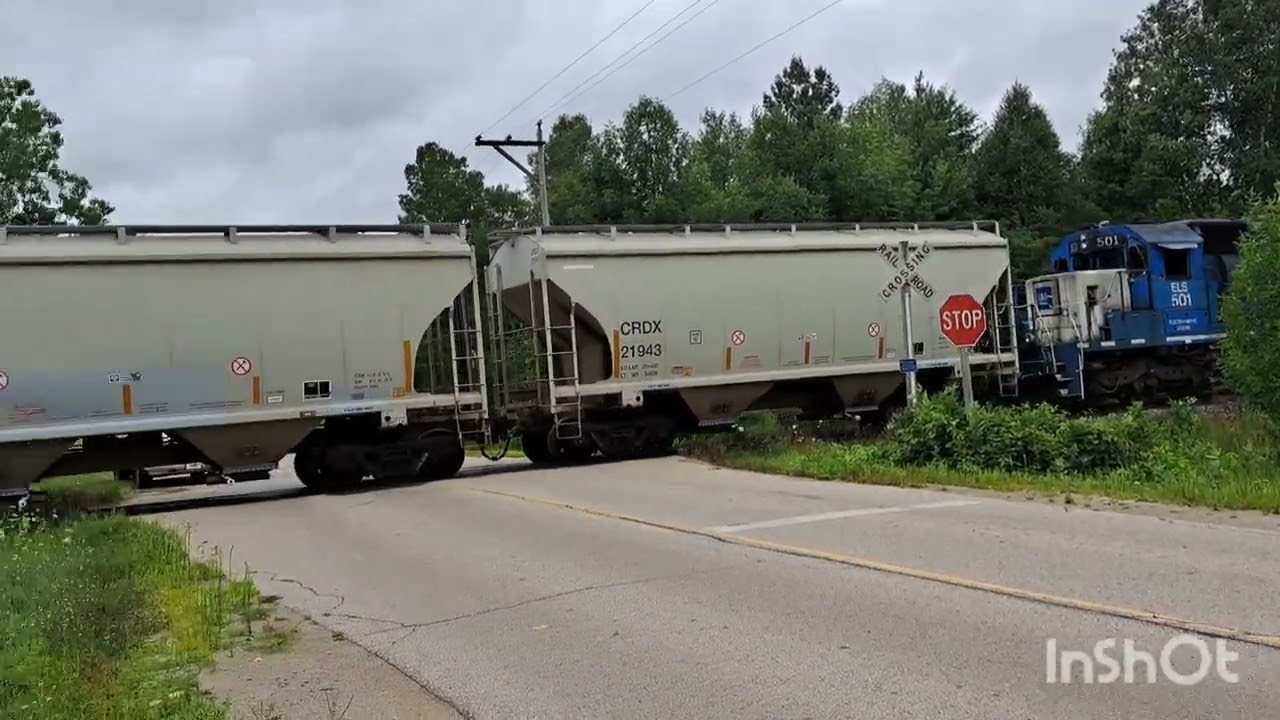 Trees block ELS 501 and train goes into emergency #railroad #train